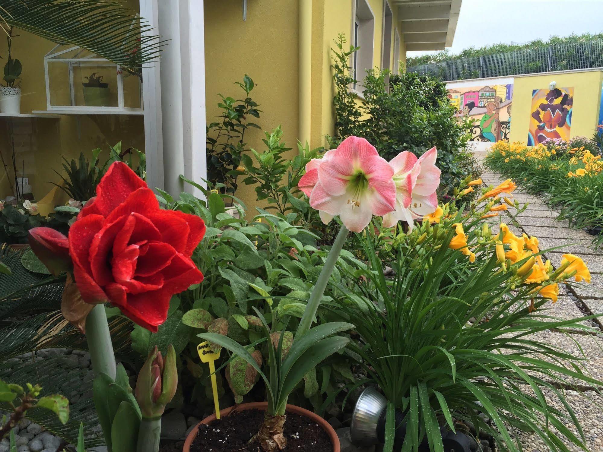 La Casa (Adults Only) Bed & Breakfast Bari Bagian luar foto